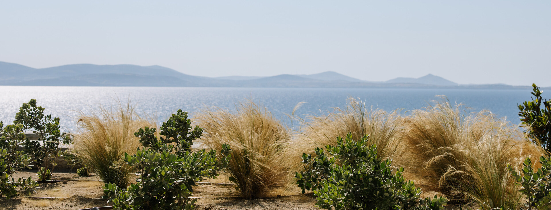 Stelida headland on Naxos